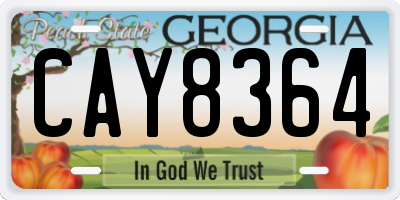 GA license plate CAY8364