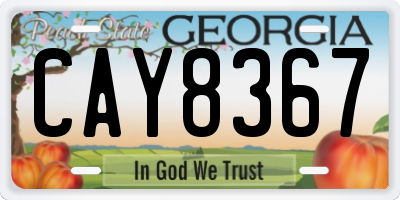GA license plate CAY8367