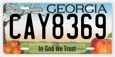GA license plate CAY8369