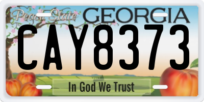 GA license plate CAY8373