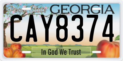 GA license plate CAY8374