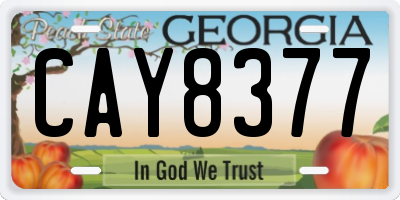 GA license plate CAY8377