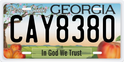 GA license plate CAY8380