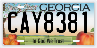 GA license plate CAY8381