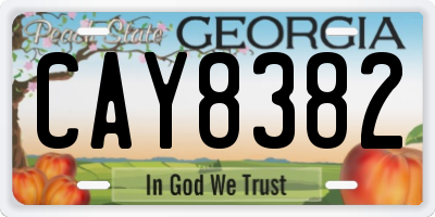 GA license plate CAY8382