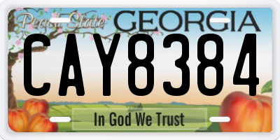 GA license plate CAY8384