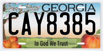 GA license plate CAY8385