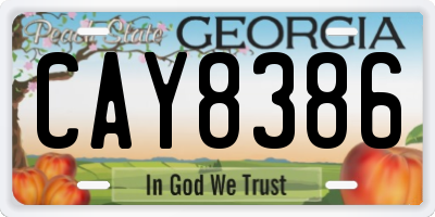 GA license plate CAY8386