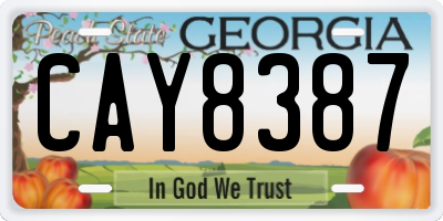 GA license plate CAY8387