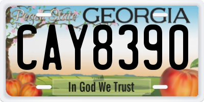 GA license plate CAY8390