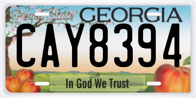 GA license plate CAY8394