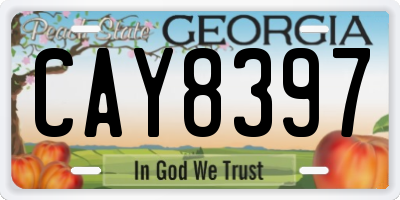GA license plate CAY8397