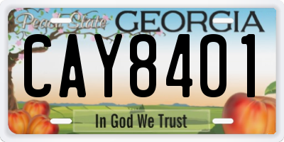 GA license plate CAY8401