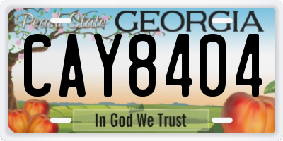 GA license plate CAY8404