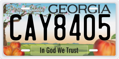 GA license plate CAY8405