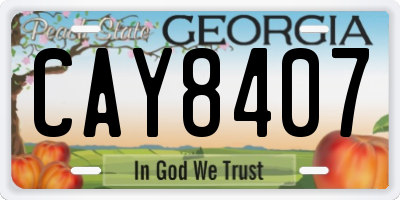 GA license plate CAY8407