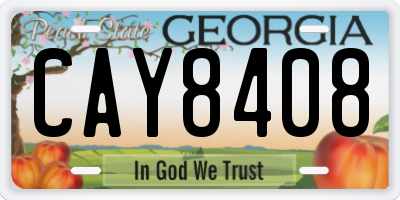 GA license plate CAY8408