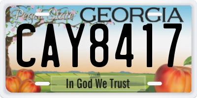 GA license plate CAY8417