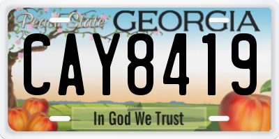 GA license plate CAY8419