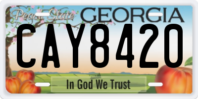 GA license plate CAY8420