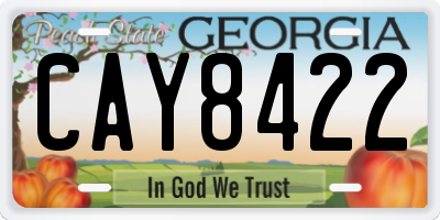 GA license plate CAY8422