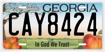 GA license plate CAY8424