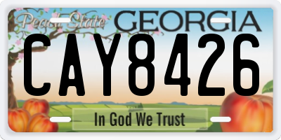 GA license plate CAY8426
