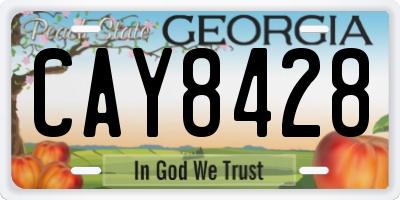 GA license plate CAY8428