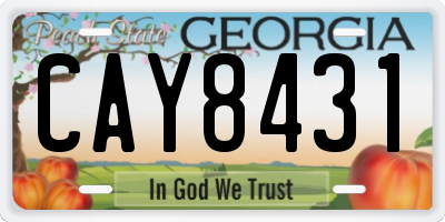 GA license plate CAY8431