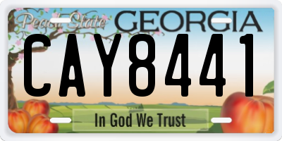 GA license plate CAY8441