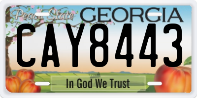 GA license plate CAY8443