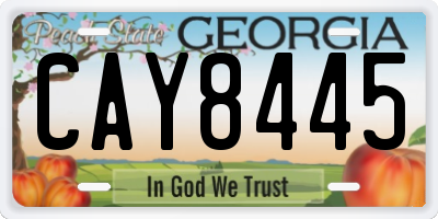 GA license plate CAY8445