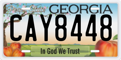 GA license plate CAY8448