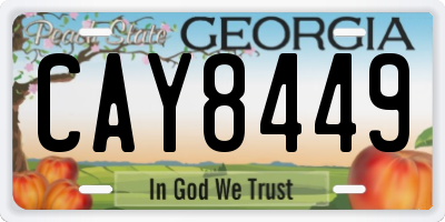 GA license plate CAY8449