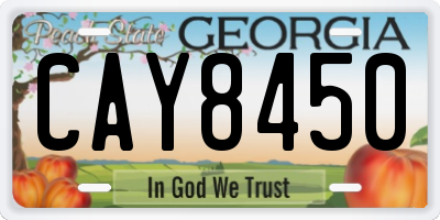GA license plate CAY8450