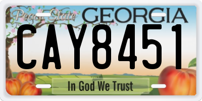 GA license plate CAY8451