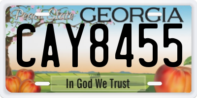 GA license plate CAY8455