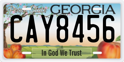 GA license plate CAY8456