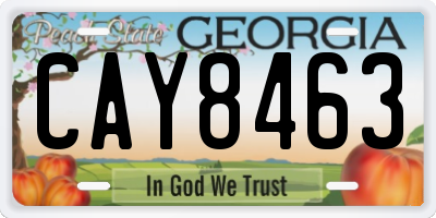 GA license plate CAY8463