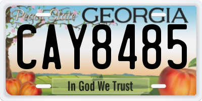 GA license plate CAY8485