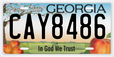 GA license plate CAY8486