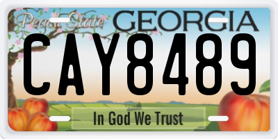 GA license plate CAY8489