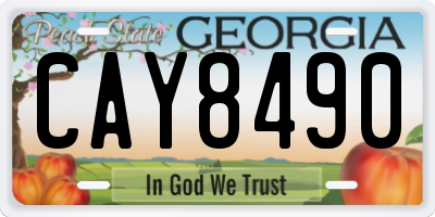 GA license plate CAY8490