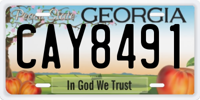 GA license plate CAY8491