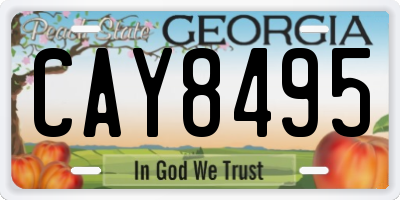 GA license plate CAY8495