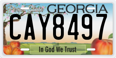GA license plate CAY8497