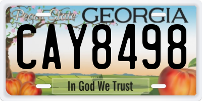 GA license plate CAY8498