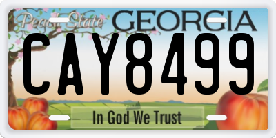 GA license plate CAY8499