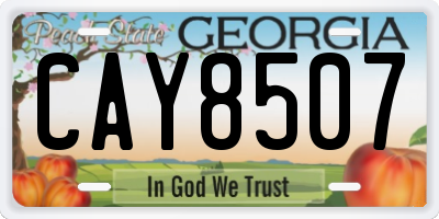 GA license plate CAY8507