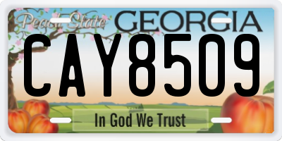 GA license plate CAY8509